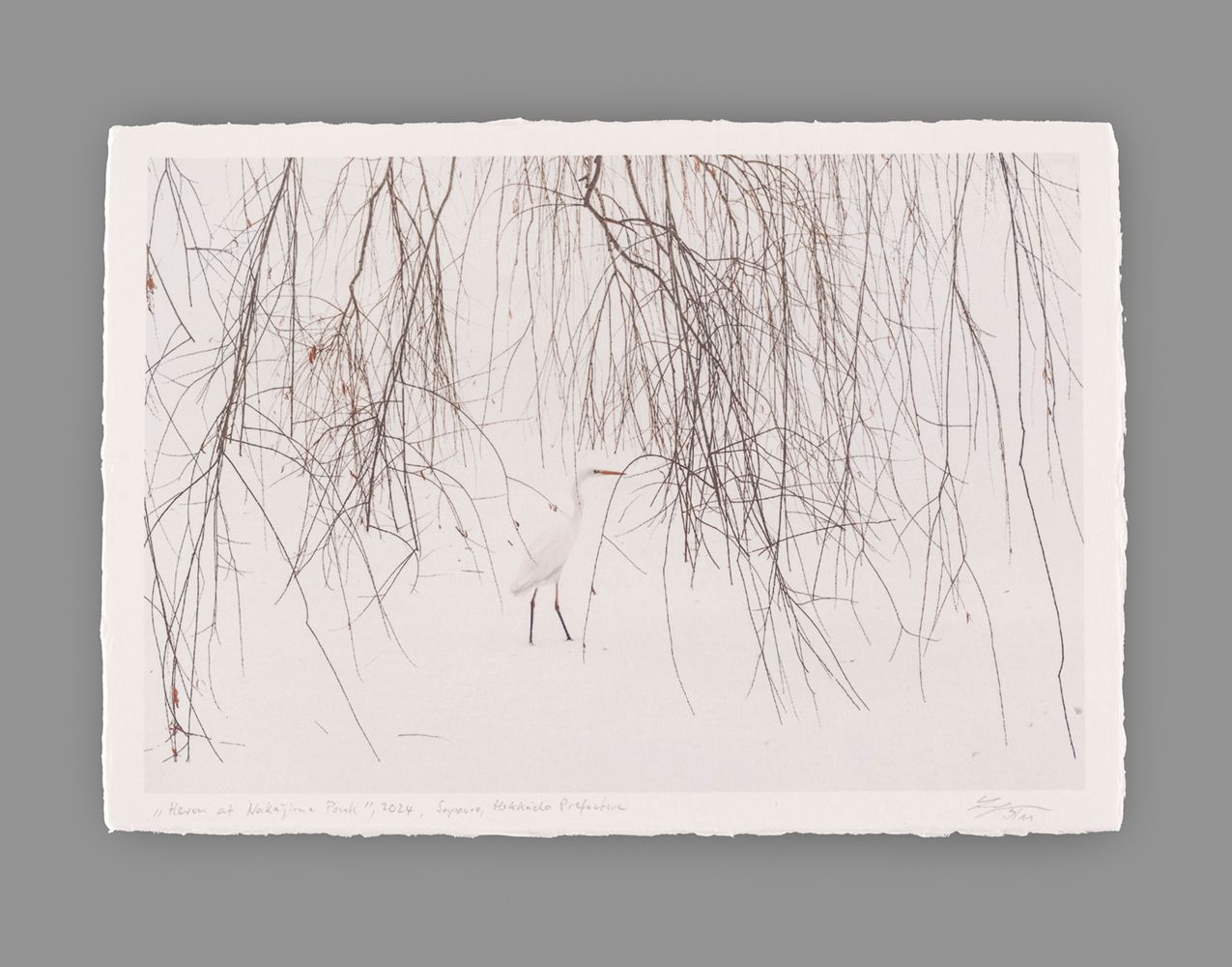Heron at Nakajima Park - Special Limited Edition on handmade Washi Paper - 31 cm x 22 cm