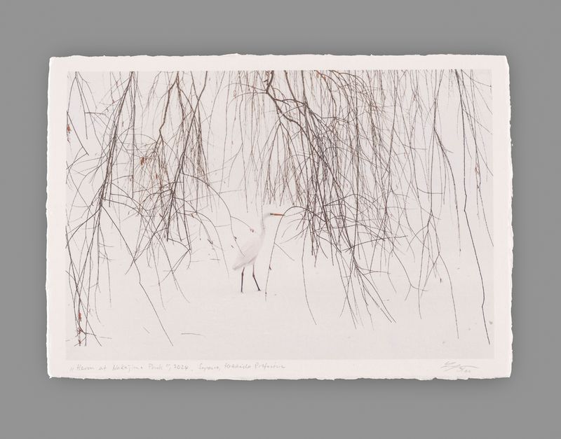 Heron at Nakajima Park - Special Limited Edition on handmade Washi Paper - 31 cm x 22 cm