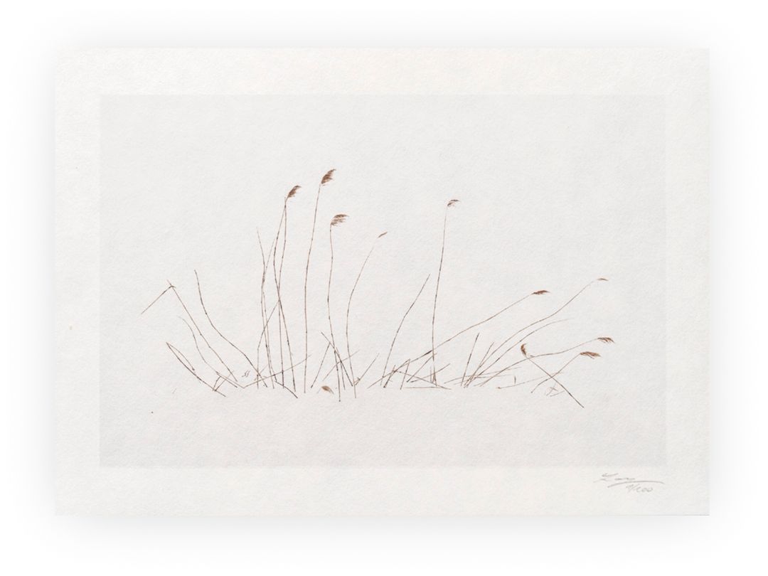 Calligraphy XXV - Limited Special Edition Print on Washi Paper Calligraphy XXV - Limited Special Edition Print on Washi Paper