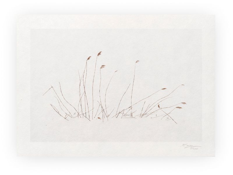 Calligraphy XXV - Limited Special Edition Print on Washi Paper