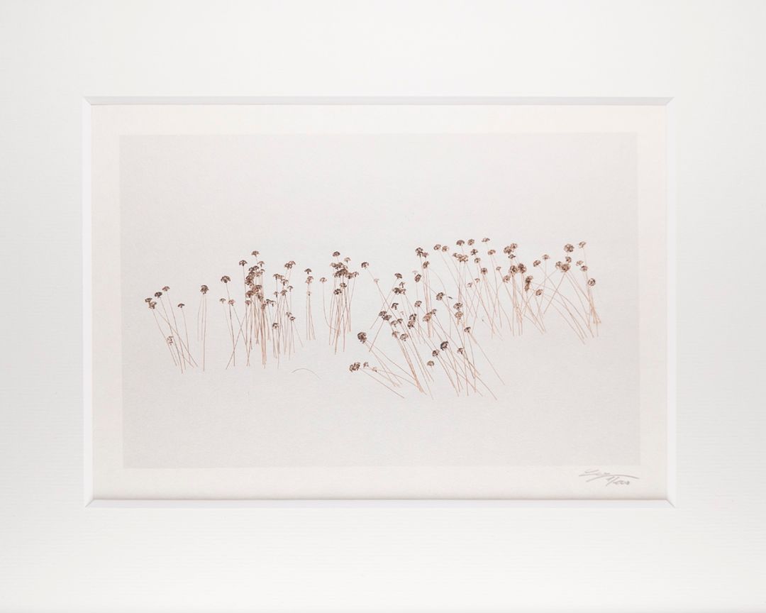 Calligraphy XXXI - Limited Special Edition Print on Washi Paper