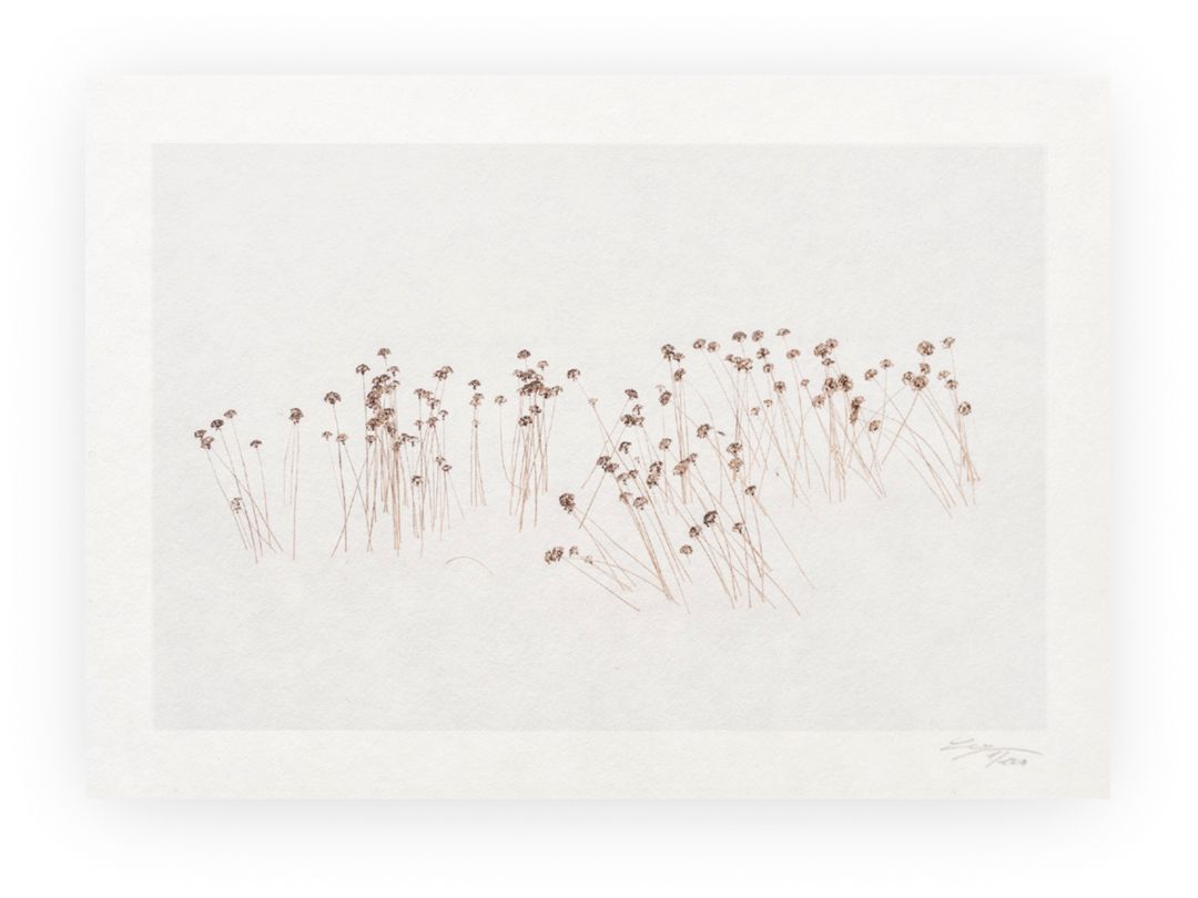 Calligraphy XXXI - Limited Special Edition Print on Washi Paper