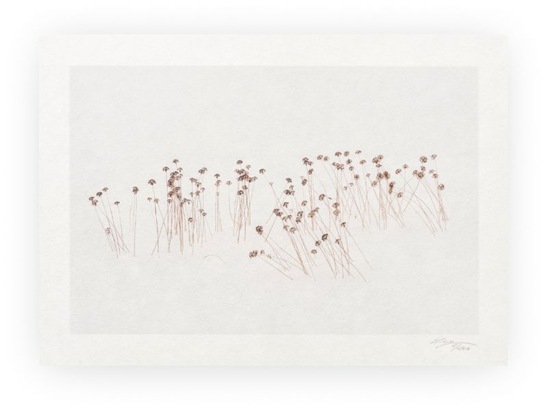 Calligraphy XXXI - Limited Special Edition Print on Washi Paper Calligraphy XXXI - Limited Special Edition Print on Washi Paper