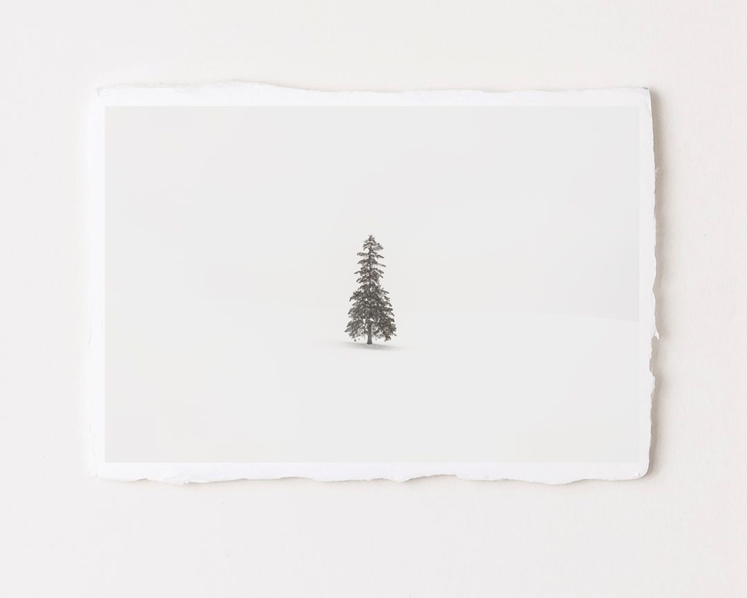 Christmas Tree - Special Limited Edition on handmade Washi Paper Christmas Tree - Special Limited Edition on handmade Washi Paper