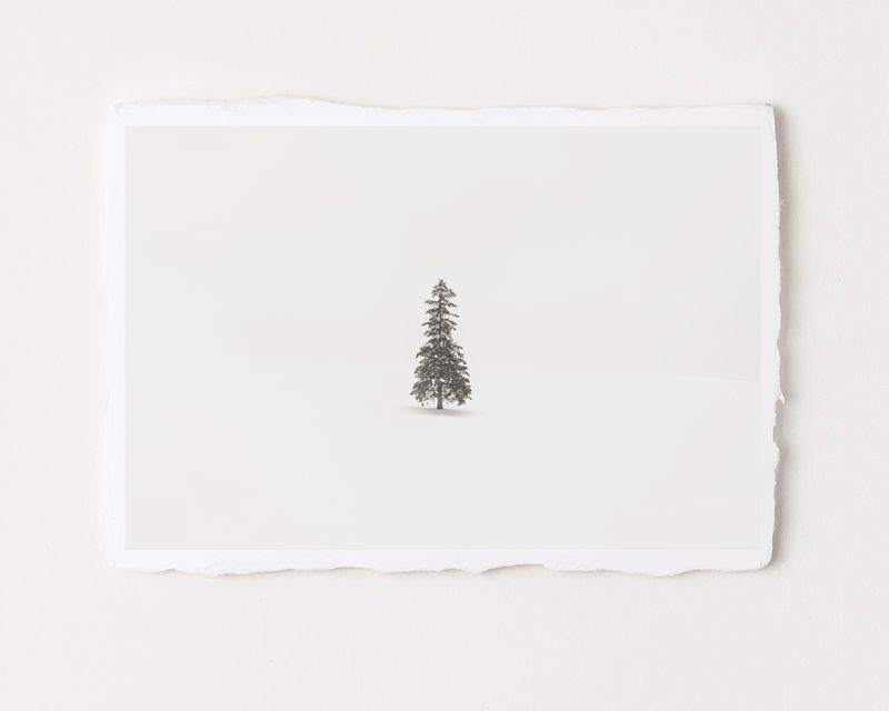 Christmas Tree - Special Limited Edition on handmade Washi Paper