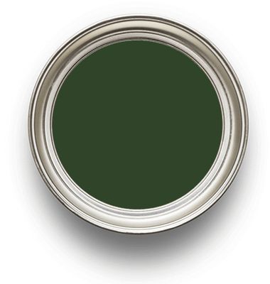 Dark Brunswick Green