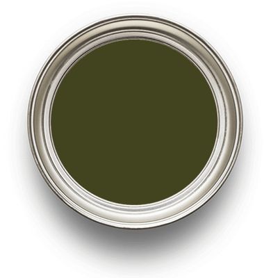 Olive Colour