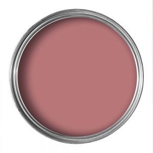 Rhubarb