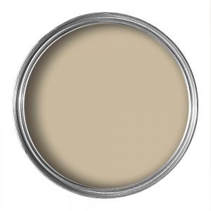 Canvas V