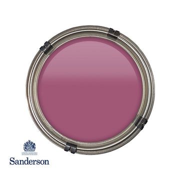 Wild Plum Light