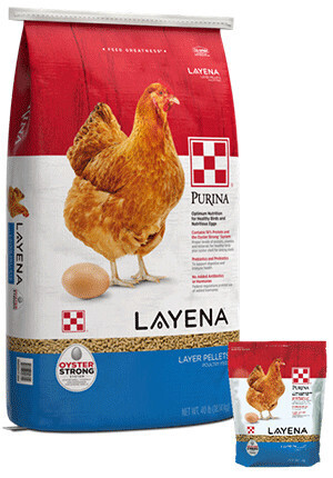 Purina Chicken Feed Layer Pellets 50 lb