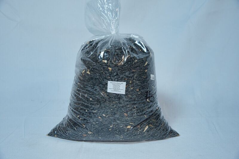 BLACK OIL SUNFLOWER (WE BAG) 10 - LB