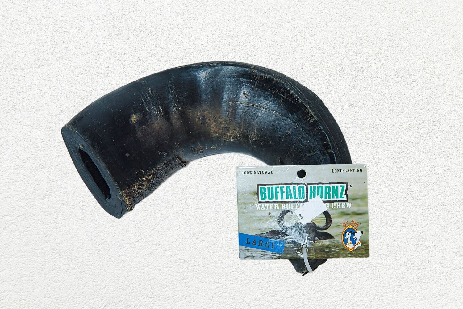 Qtdog Buffalo Hornz Large