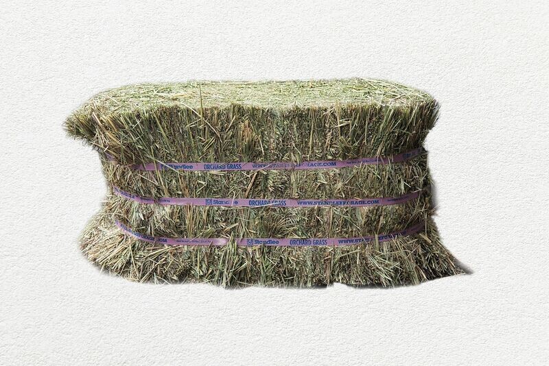 STANDLEE  ORCHARD HAY BALE -  50 - LB
