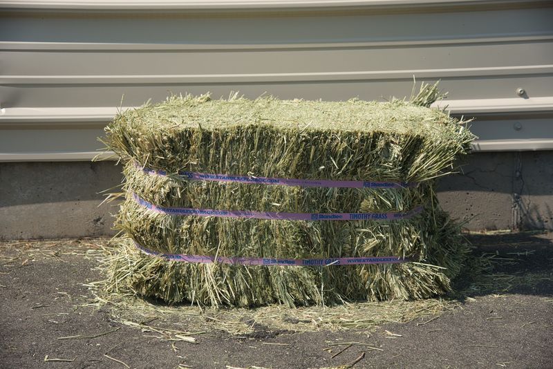 STANDLEE TIMOTHY HAY Bale Compressed  -  50 - LB