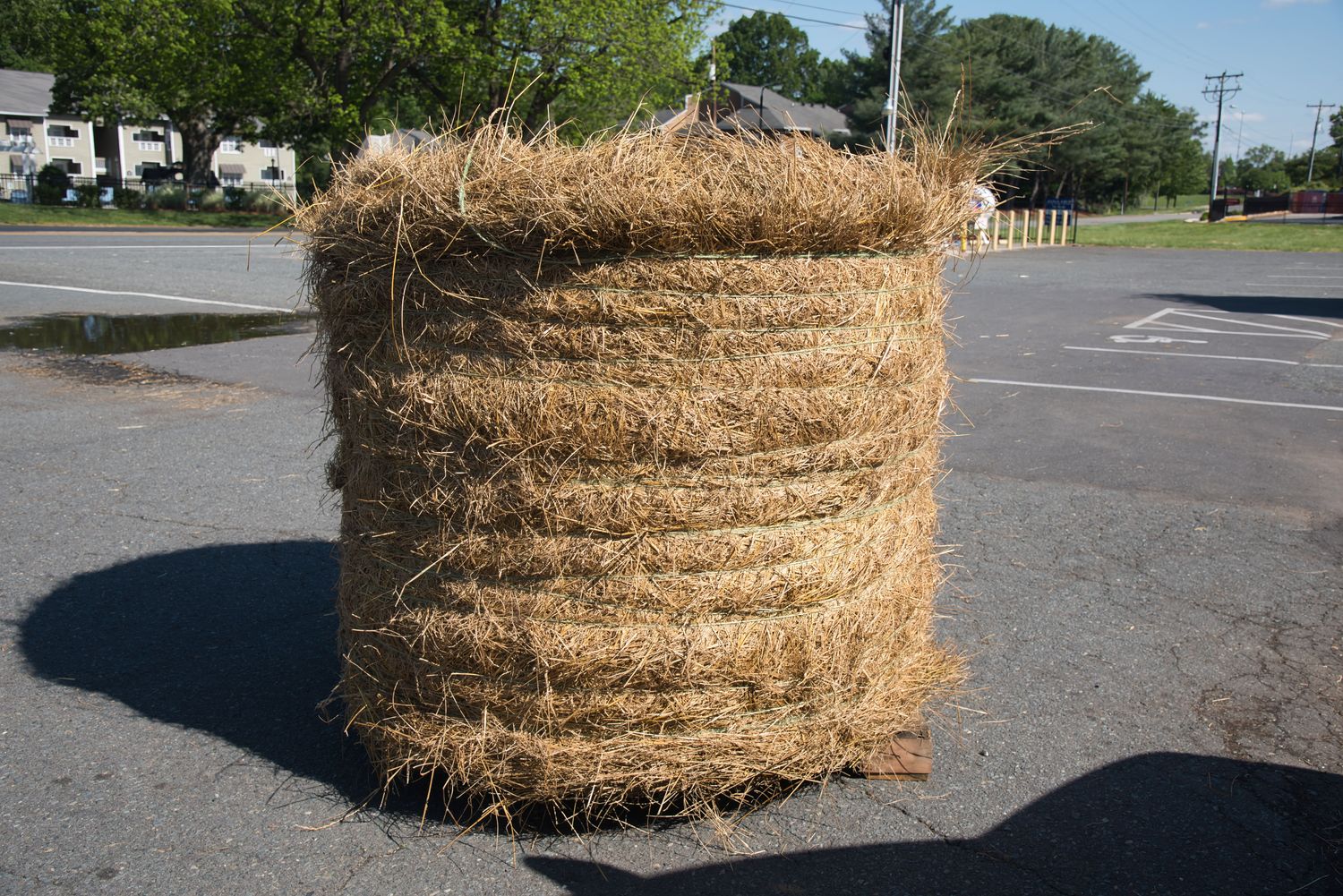Hay - Fescue Round Bale Hay - Fescue Round Bale