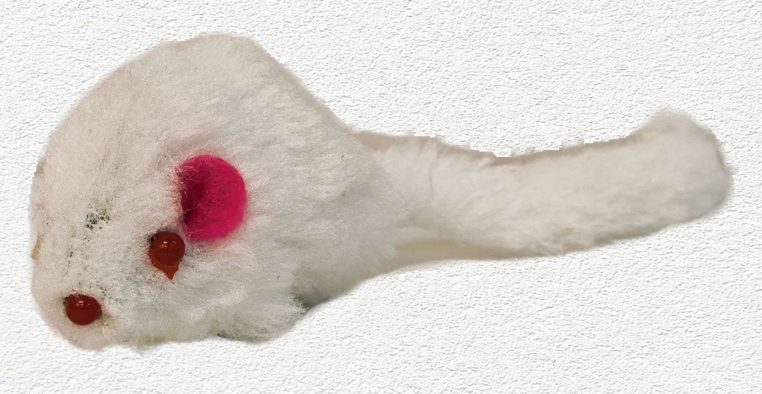 Ethical Pet Spotnips Furry Mice