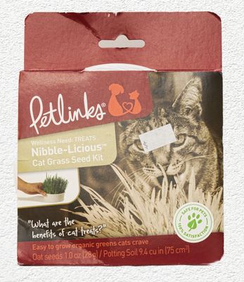 Petlinks Nibble-Licious Cat Grass Kit