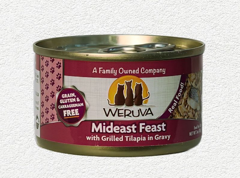 Weruva Mideast Feast with Grilled Tilapia in Gravy Canned Cat Food - 3oz