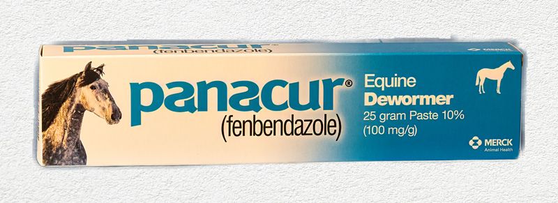 Panacur (Fenbendazole) Equine Dewormer Paste, 25g
