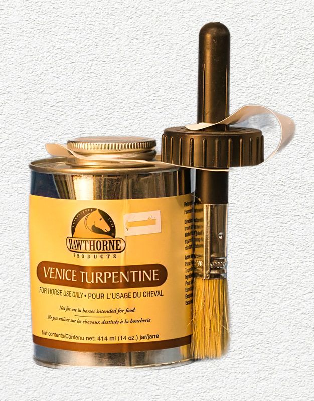Hawthorne Venice Turpentine with Brush - 14 oz