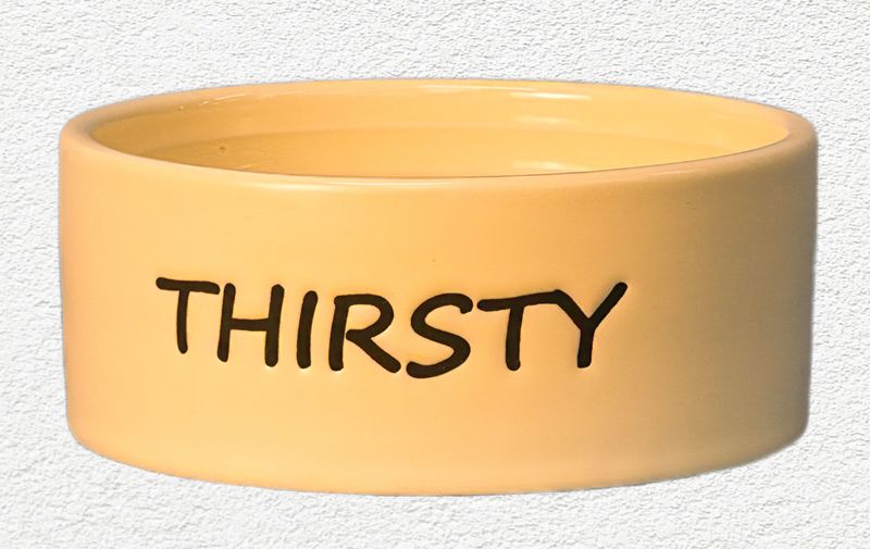 SPOT Thirsty Dog Dish Water Bowl – 5"