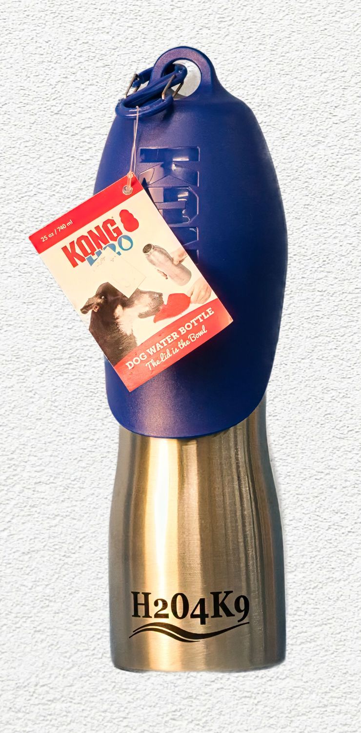 KONG H20 Stainless Steel Water Bottle Blue 25oz