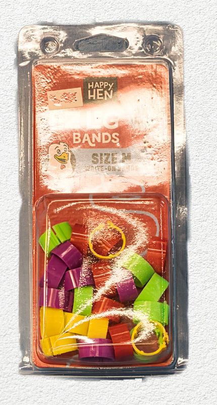 Happy Hen EZ Leg Bands - Medium, 24 Count