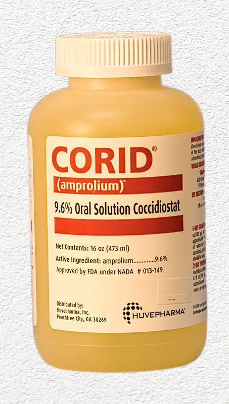 Corid 9.6% Oral Solution - 16 oz