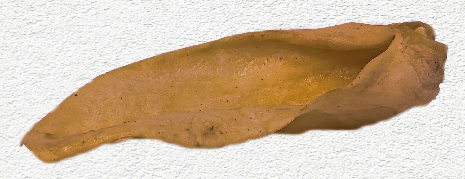 Redbarn Lamb Ears Dog Chew