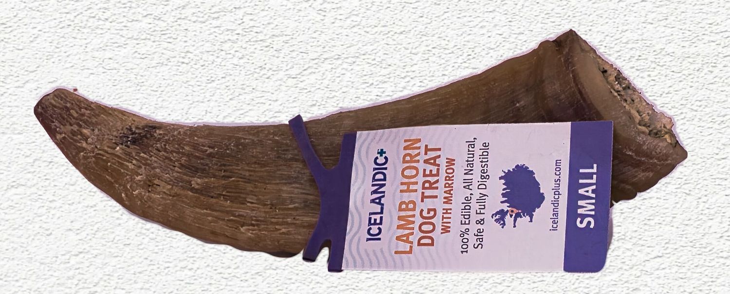 Icelandic Plus Small Lamb Horn with Marrow