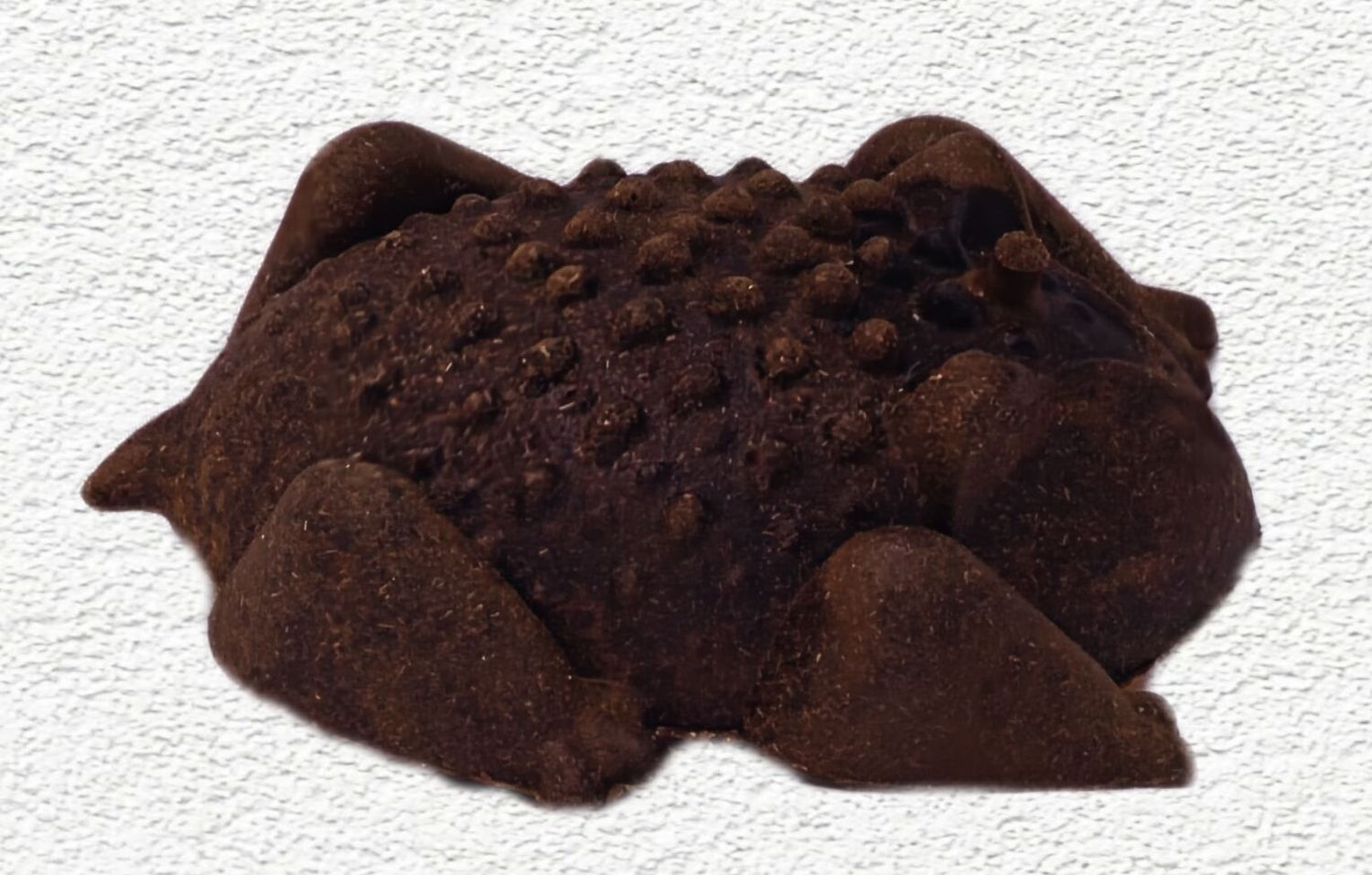 Redbarn Chew-A-Bulls Horned Toad Dental Dog Treats Large Singe