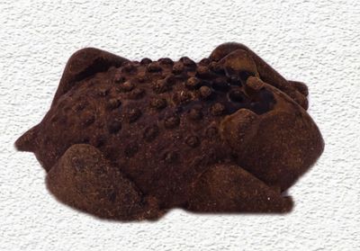 Redbarn Chew-A-Bulls Horned Toad Dental Dog Treats Medium Single