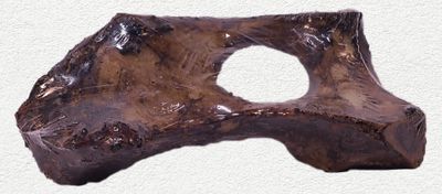 Nature's Own USA Smoked Hip Bone (17")