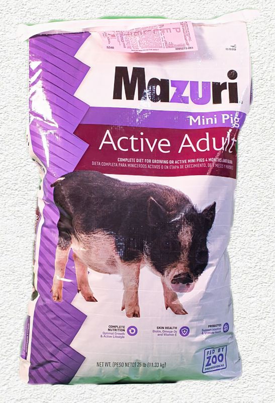 Mazuri Mini Pig Active Adult Feed (25 lbs)