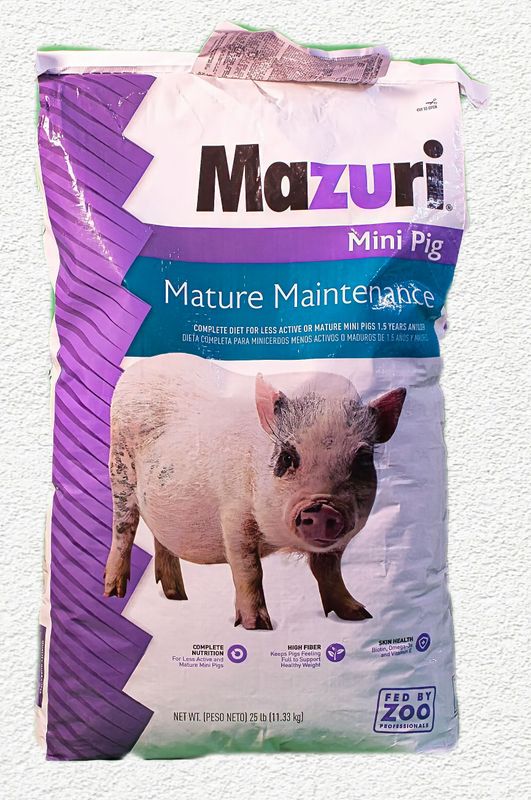 Mazuri Mini Pig Mature Maintenance Feed (25 lbs)