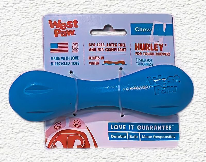 West Paw Hurley Dog Chew Toy (Small, Aqua Blue)