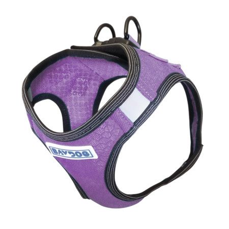 BAYDOG Harness Liberty Bay Violet XLarge