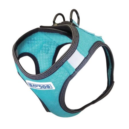 BAYDOG LIBERTY BAY HARNESS TEAL MEDIUM