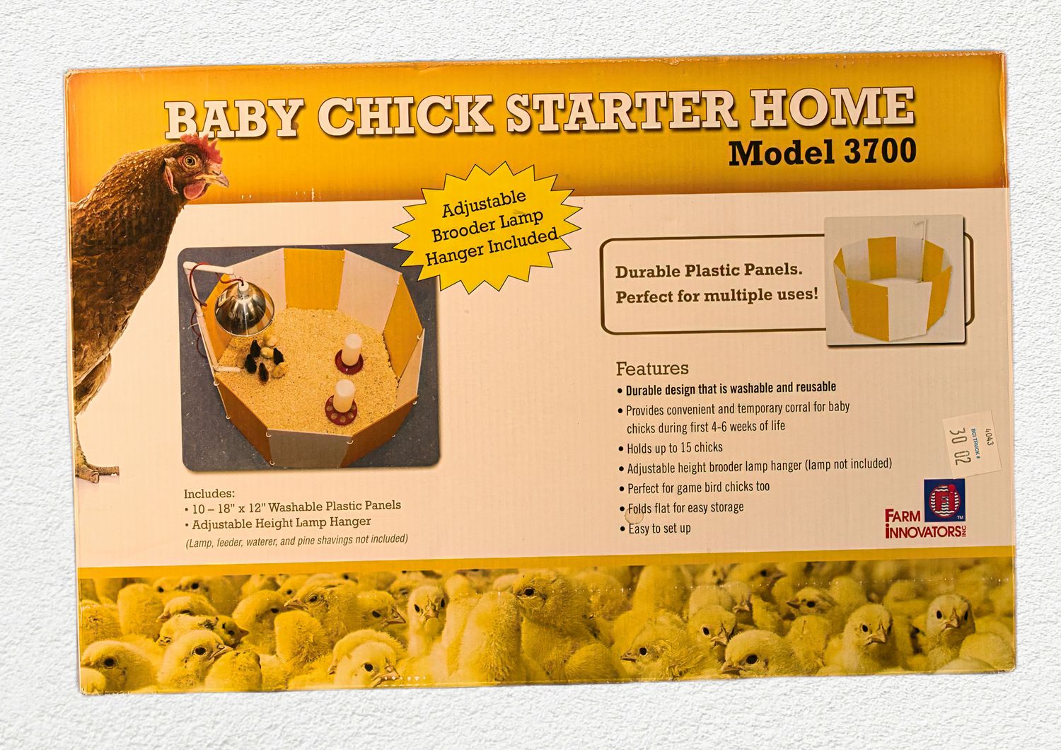 Baby Chick Starter Home 0