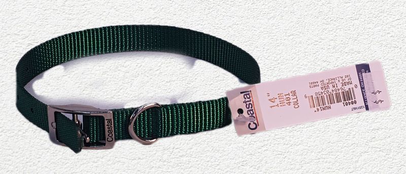 Coastal® Single-Ply Dog Collar, Hunter Green, Small - 5/8" x 14"