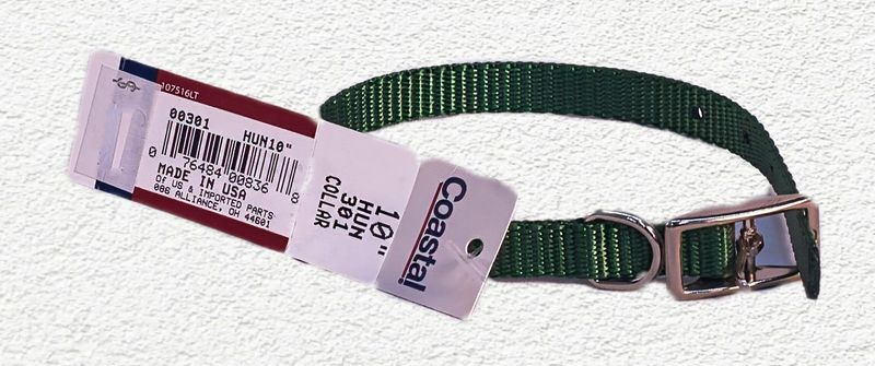 COASTAL NYLON DOG COLLAR - GREEN 10