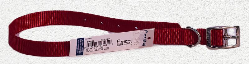 Coastal® Single-Ply Dog Collar, Red, Medium - 5/8" x 16"