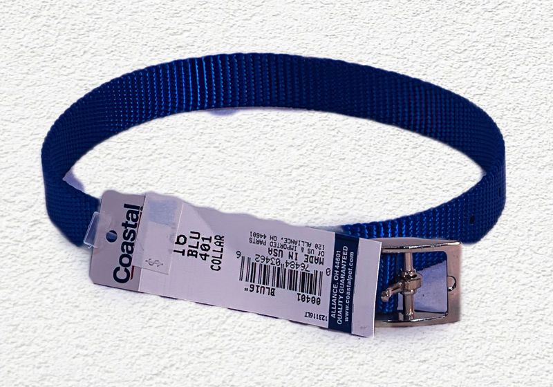 COASTAL NYLON TRADITIONAL DOG COLLAR SINGLE PLY - BLUE - 5/8" x 16"