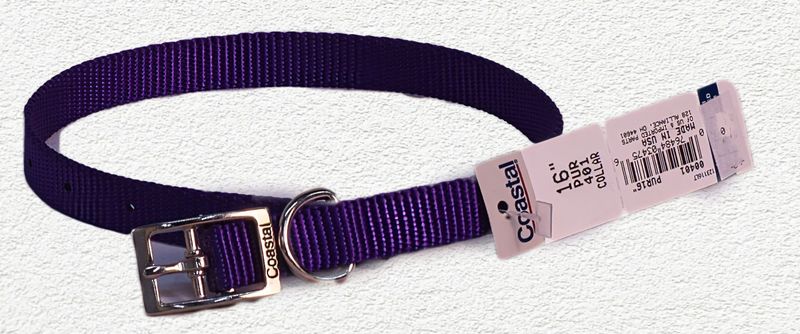 Coastal® Single-Ply Dog Collar, Purple, Medium - 5/8" x 16"