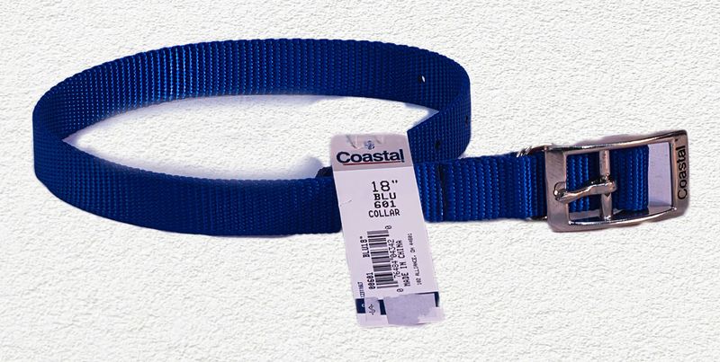 Coastal® Single-Ply Dog Collar, Blue, Medium - 3/4" x 18"