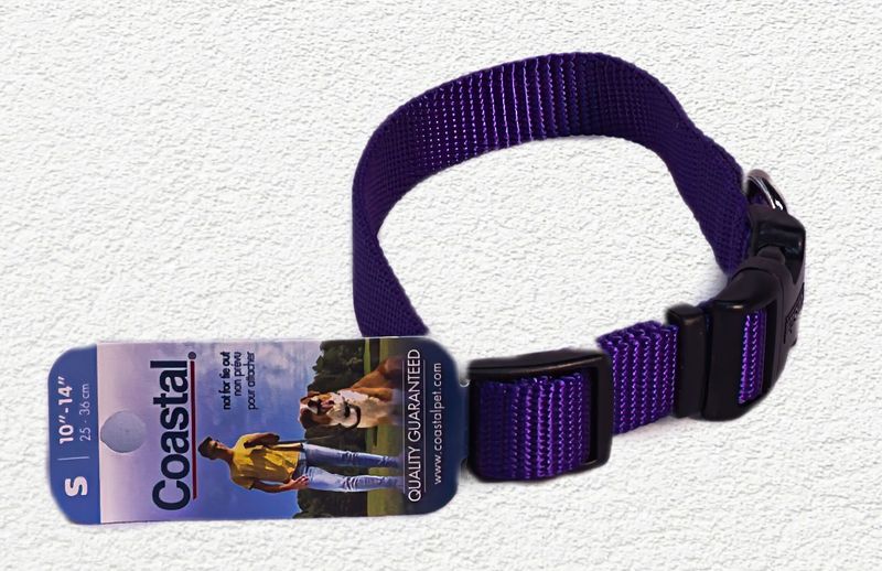 COASTAL NYLON DOG COLLAR PLASTIC BUCKLE 5/8" x 8" - 12" - SMALL PURPLE