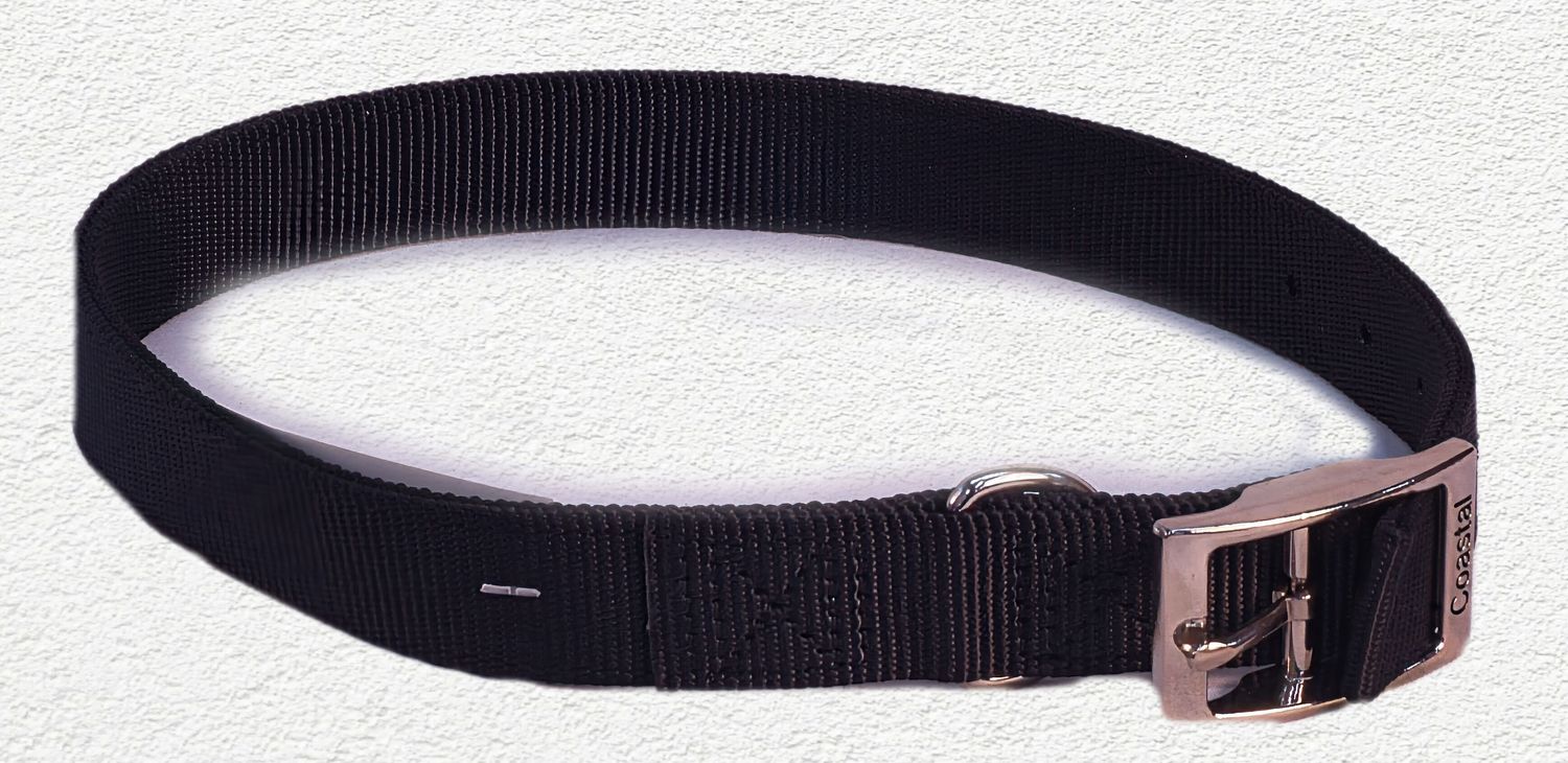 Coastal® Double-Ply Dog Collar, Black, Large - 1" x 24"