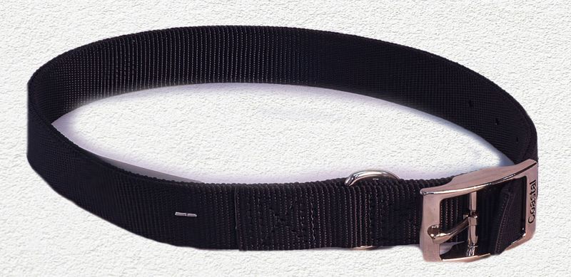 Coastal® Double-Ply Dog Collar, Black, Large - 1" x 24"