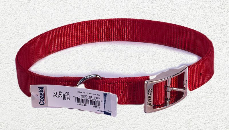 Coastal® Double-Ply Dog Collar, Red, Large - 1" x 24"